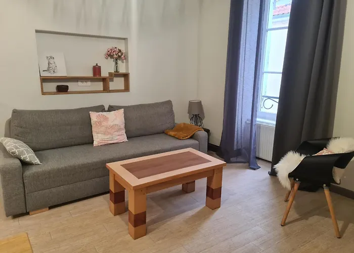 Appartement Hyper-Centre Issoire